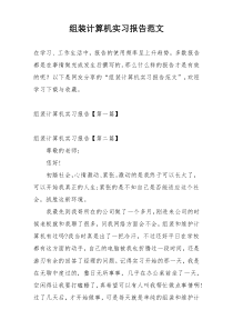 组装计算机实习报告范文