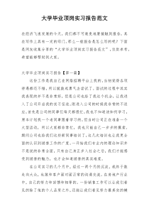 大学毕业顶岗实习报告范文