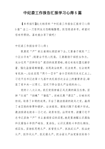 中纪委工作报告汇报学习心得5篇