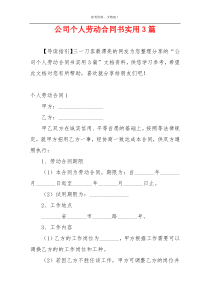 公司个人劳动合同书实用3篇