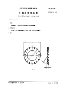 GB862-2-87外锯齿锁紧垫圈