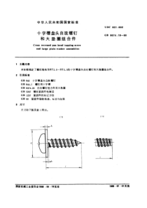 GB9074-19-88十字槽盘头自攻螺钉和大垫圈组合件