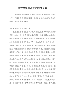 审计会议表态发言通用5篇