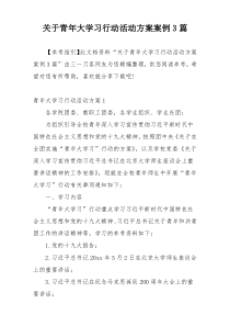 关于青年大学习行动活动方案案例3篇