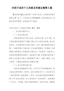 对班子成员个人的意见和建议集聚5篇