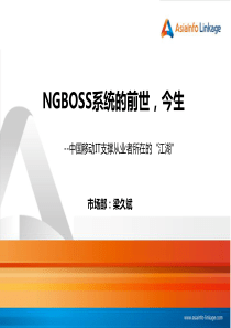 NGBOSS系统的前世今生