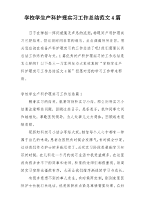 学校学生产科护理实习工作总结范文4篇