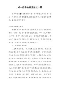 对一把手的意见建议3篇