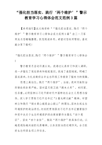 “强化担当落实、践行‘两个维护’”警示教育学习心得体会范文范例3篇