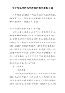 关于深化消防执法改革的意见最新8篇