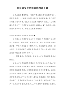 公司级安全培训总结精选4篇