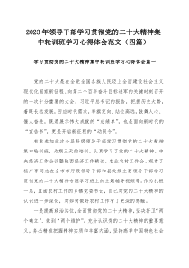 2023年领导干部学习贯彻党的二十大精神集中轮训班学习心得体会范文（四篇）