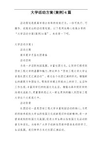 大学活动方案(案例)4篇