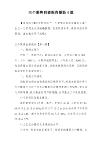 三个聚焦自查报告最新4篇