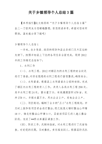 关于乡镇领导个人总结3篇