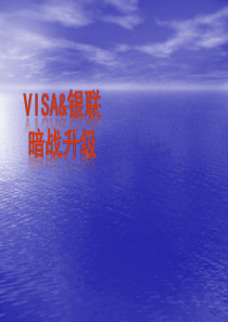 VISA与银联反垄断分析