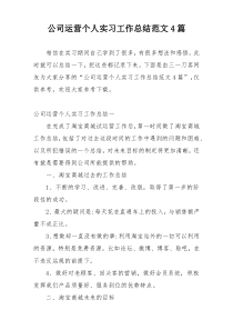 公司运营个人实习工作总结范文4篇