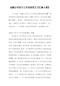 金融公司实习工作总结范文【汇编4篇】