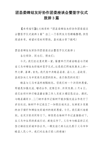 团县委缔结友好协作团委座谈会暨签字仪式致辞3篇