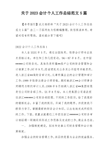 关于2023会计个人工作总结范文5篇