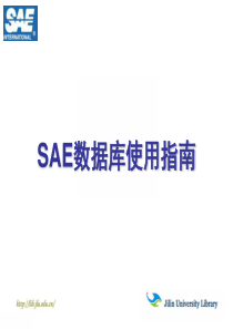 SAE数据库使用指南