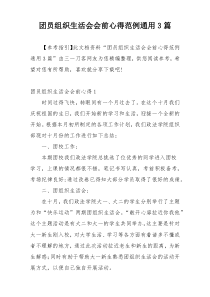 团员组织生活会会前心得范例通用3篇