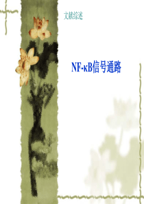 NF-KB信号通路综述