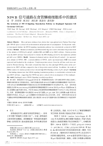 NF2κB信号通路在食管鳞癌细胞系中的激活