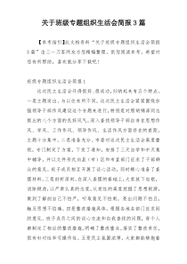 关于班级专题组织生活会简报3篇