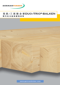 双层三层胶合梁DUO-TRIO-BALKEN