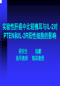 实验性肝癌中比较槐耳与IL-2对PTEN和IL-2R阳性细胞的影