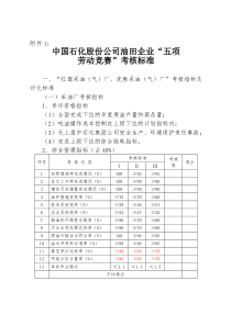 中国石化五项劳动竞赛评比标准