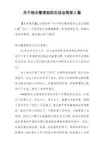 关于综合整肃组织生活会简报3篇