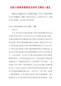 纪检干部教育整顿发言材料【精选4篇】