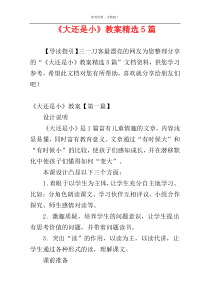 《大还是小》教案精选5篇