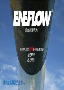 美国(原装进口)ENEFLOW流体除垢系统