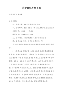 关于会议方案4篇