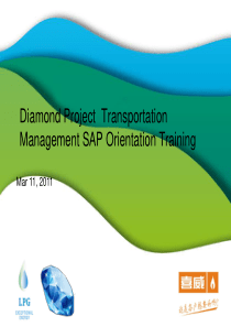 Diamond TM SAP Orientation Training