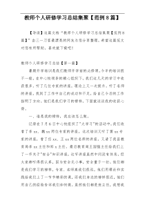 教师个人研修学习总结集聚【范例8篇】