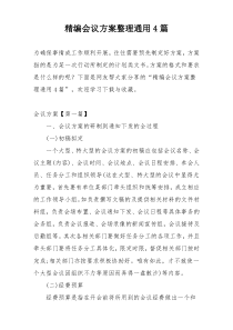 精编会议方案整理通用4篇