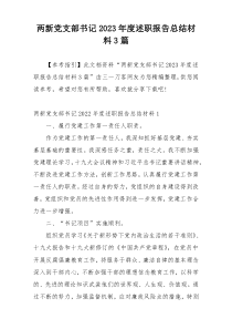 两新党支部书记2023年度述职报告总结材料3篇