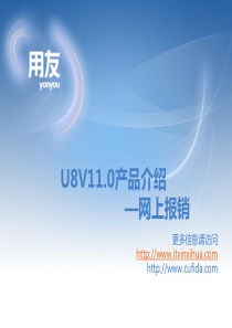 U8V110新版功能介绍-网上报销0826