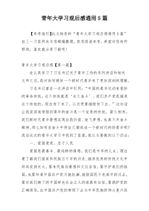 青年大学习观后感通用5篇