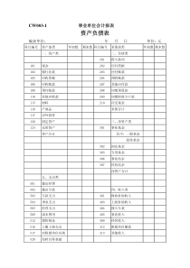 CW003事业单位会计报表