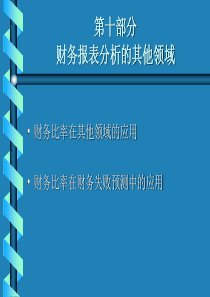 10、财务报表分析的其他领域