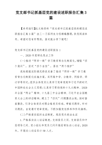 党支部书记抓基层党的建设述职报告汇集3篇