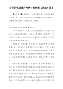 公务员职级晋升考察材料集聚【热选5篇】