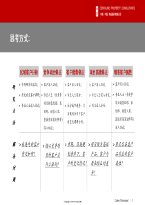 长沙万科城_客户定位及客户黑匣子研究