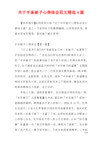 关于半条被子心得体会范文精选4篇