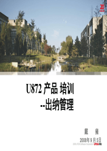 872顾问测试培训-出纳管理